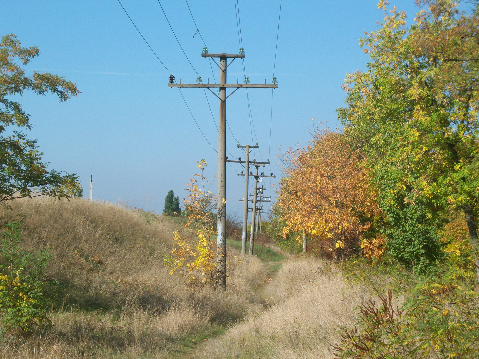 По тропинке я иду